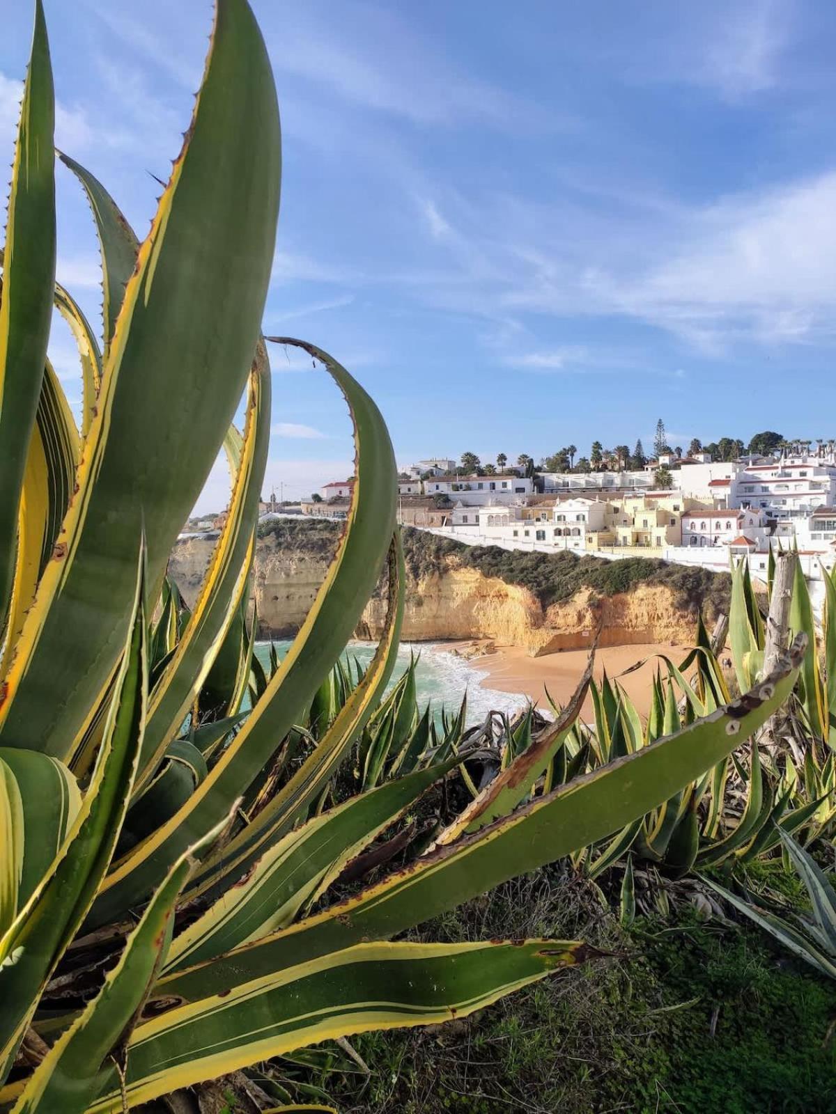 Villa La Colline I Private Pool Oasis Near Old Town Albufeira